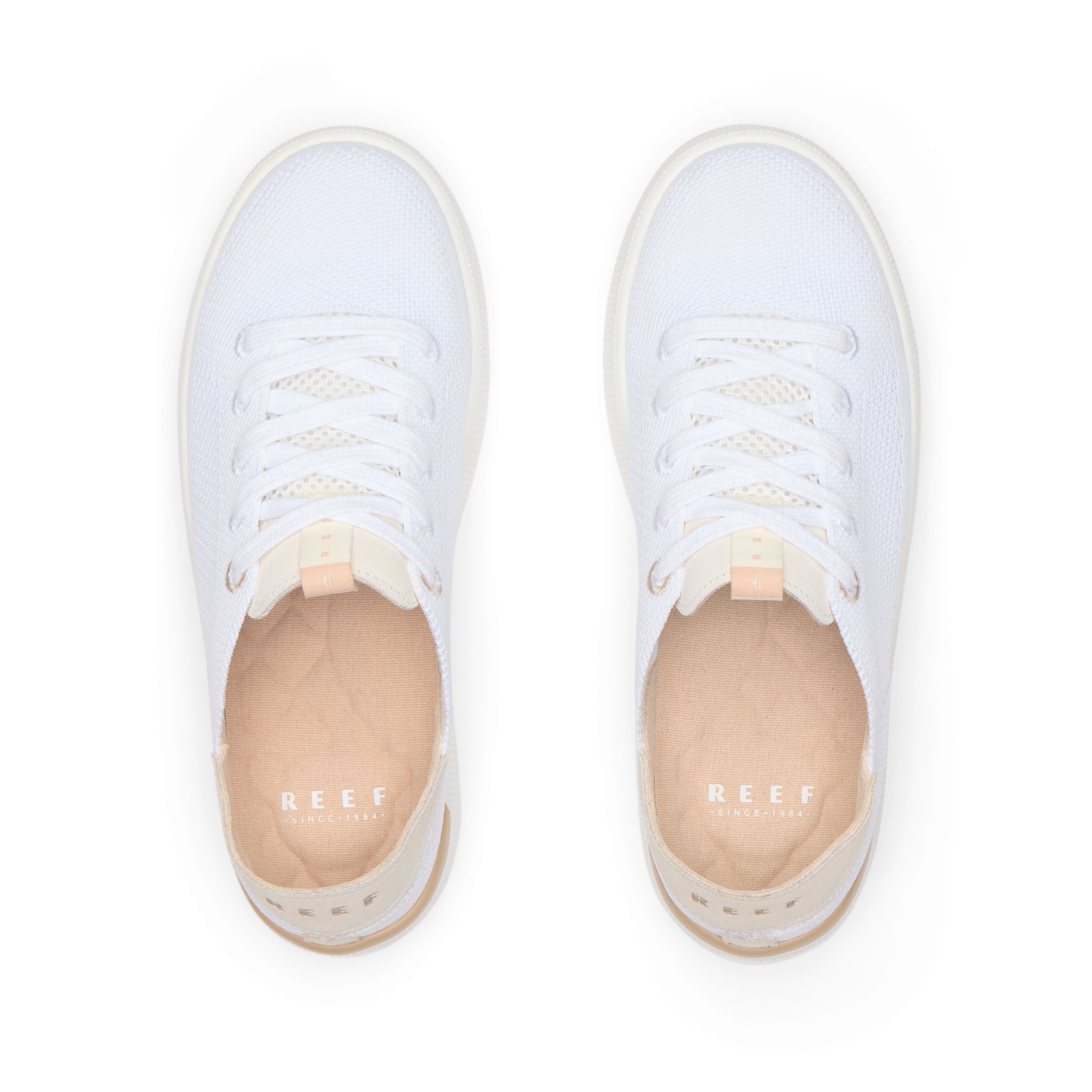 Reef Neptune - Image 5