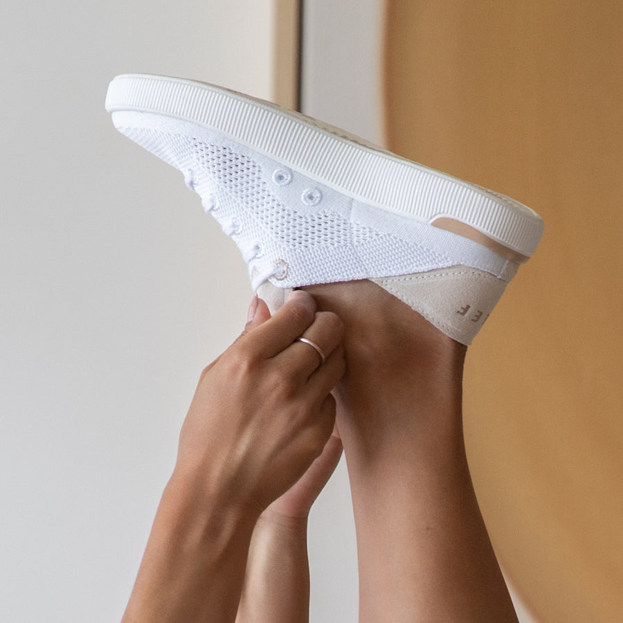 Reef Neptune - Image 2