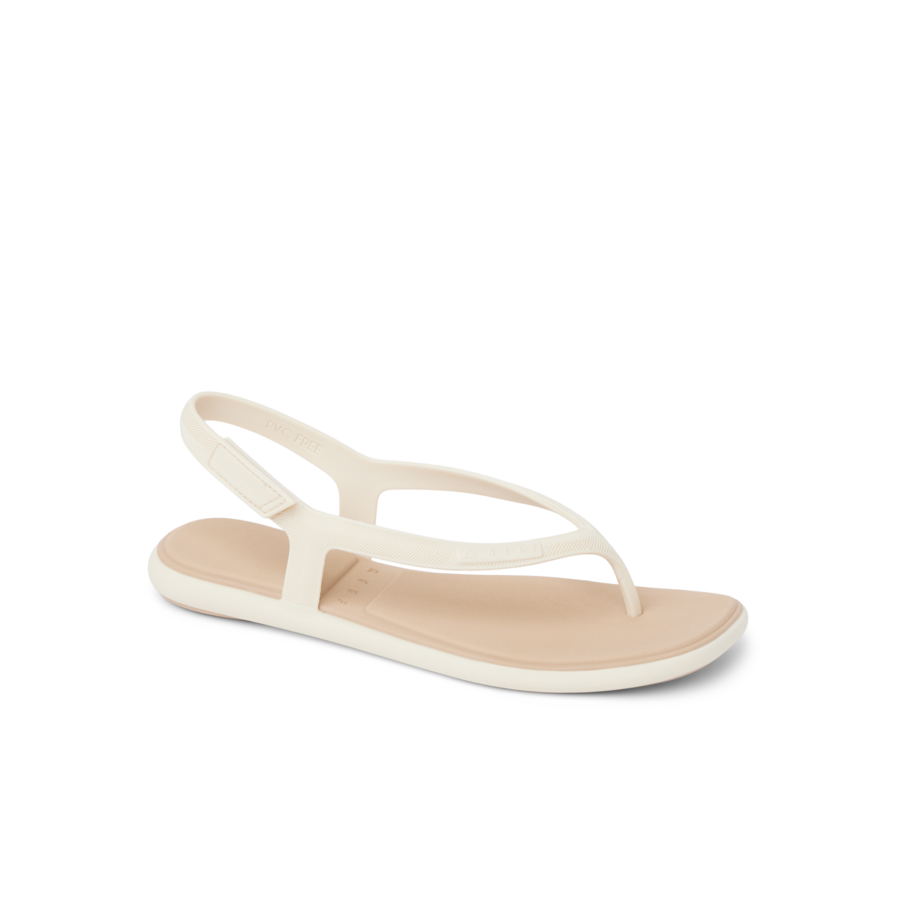 Water Willow Maya - Image 4